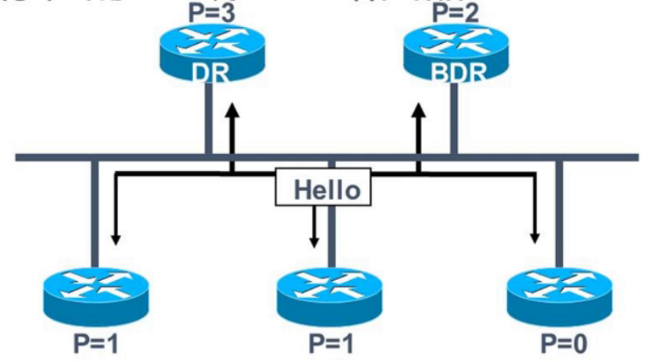 OSPF 5.png