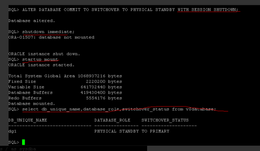 oracle dataguard 角色切换_IT_02