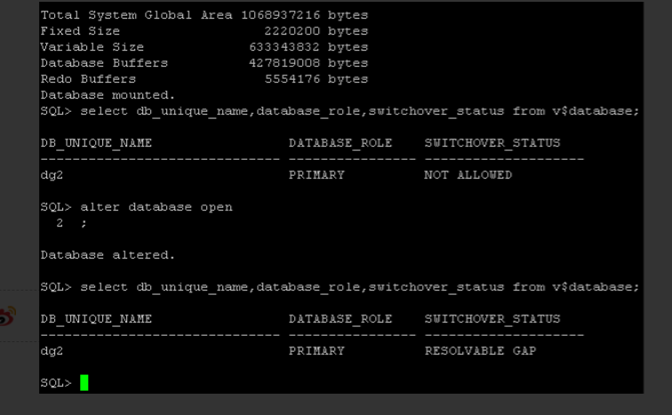 oracle dataguard 角色切换_IT_05