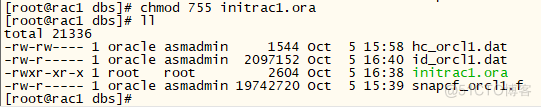 ORA-01078 不能打开参数文件_文件权限_04