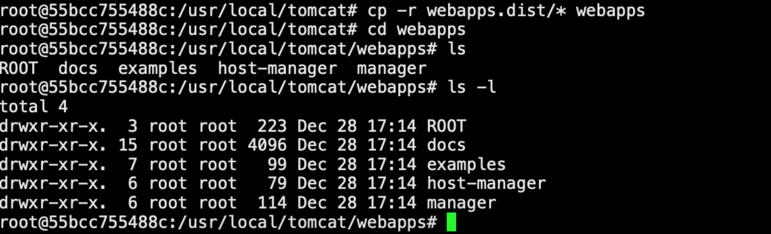 #yyds干货盘点#Docker基础之部署Tomcat应用_docker_06