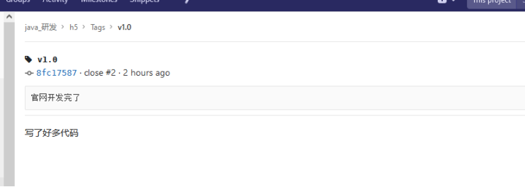 Gitlab 打tag标签_Gitlab 打tag标签_03