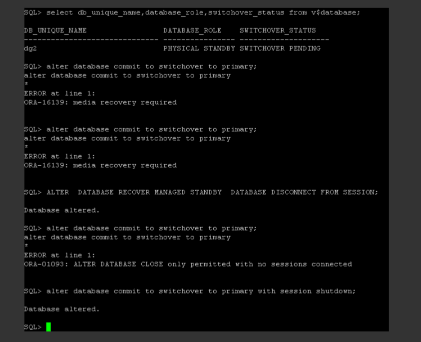 oracle dataguard 角色切换_IT_04