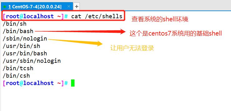 Shell脚本基础命令知识 编程规范与变量 51cto博客 Shell基础知识