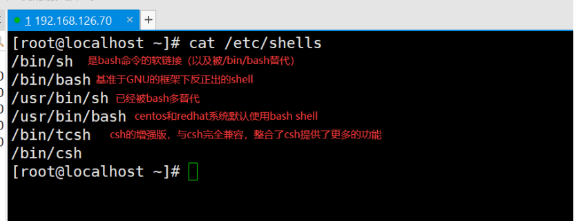 Shell基础 Mb6195f1cb664c7的技术博客 51cto博客