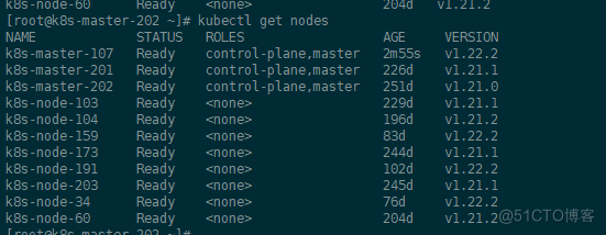 K8S 集群添加Master和node节点_k8s_02