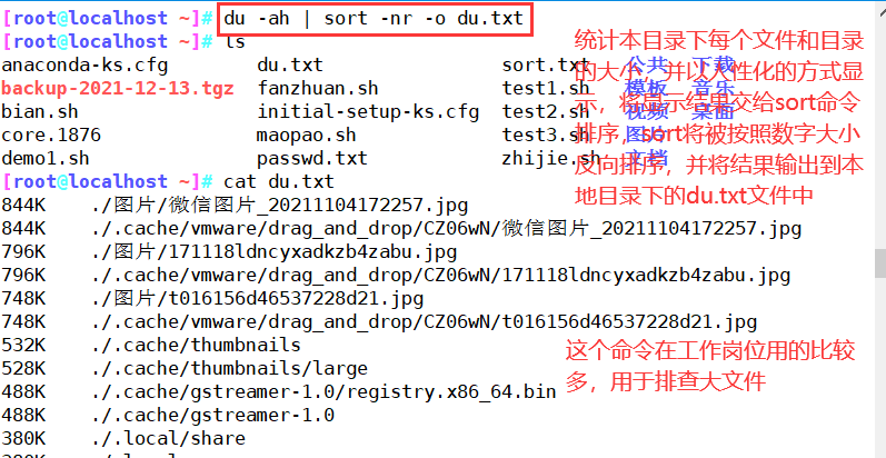 python重复上一条命令_python 命令行参数_python 执行bash命令