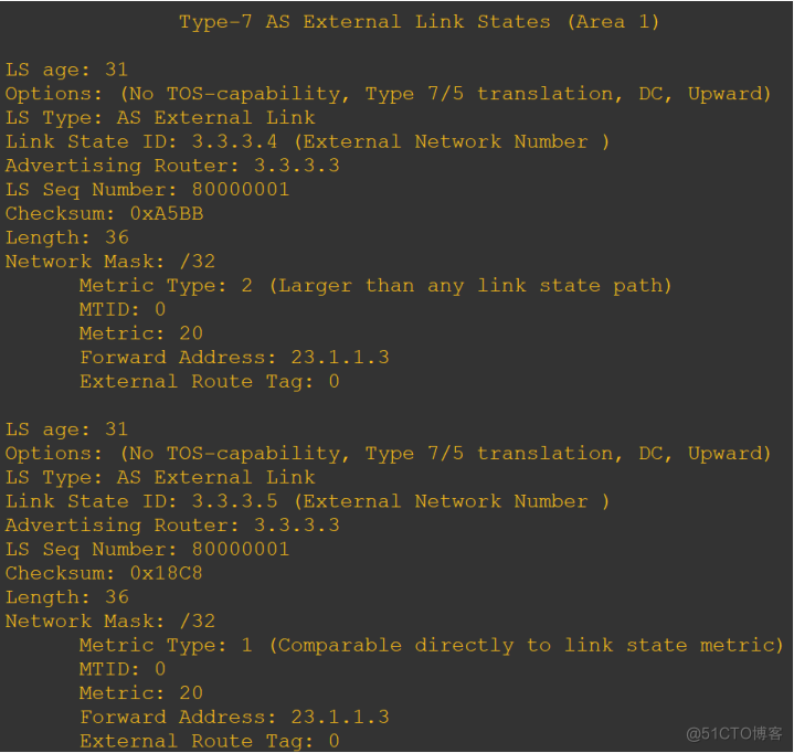 OSPF 6类LSA报文和路由器角色_泛洪_21