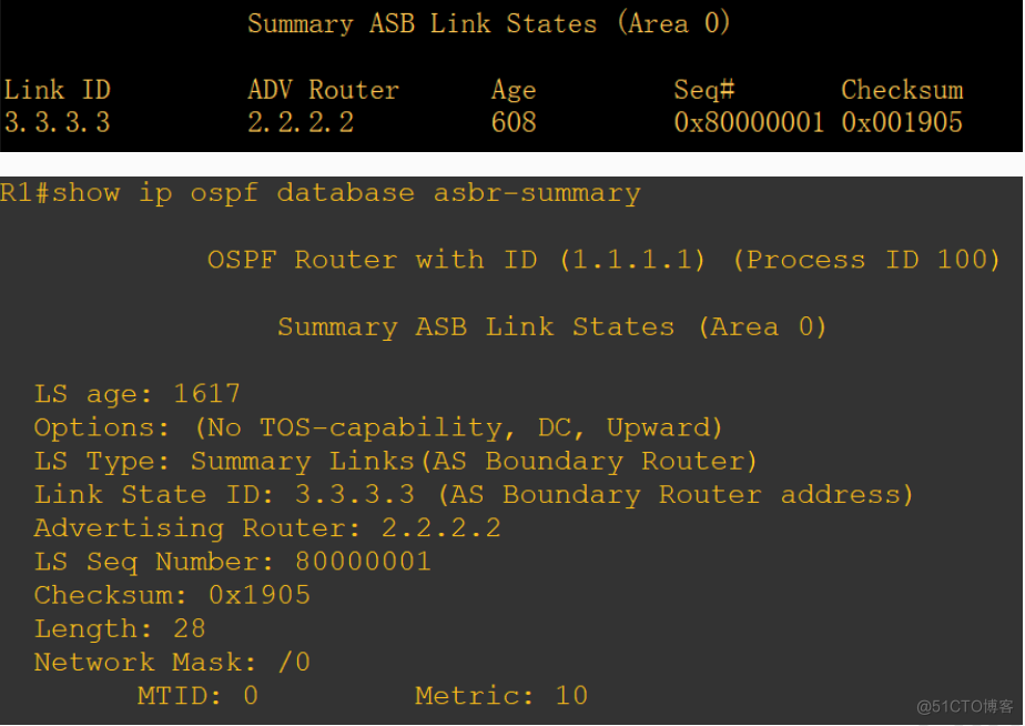 OSPF 6类LSA报文和路由器角色_泛洪_18