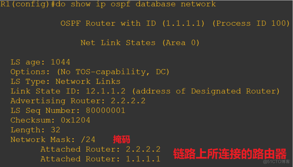 OSPF 6类LSA报文和路由器角色_泛洪_09