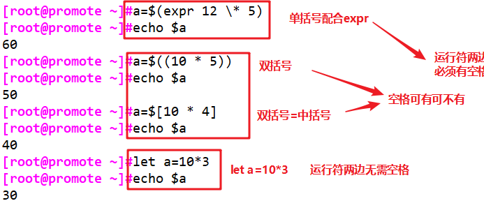 shell是什么意思中文图片