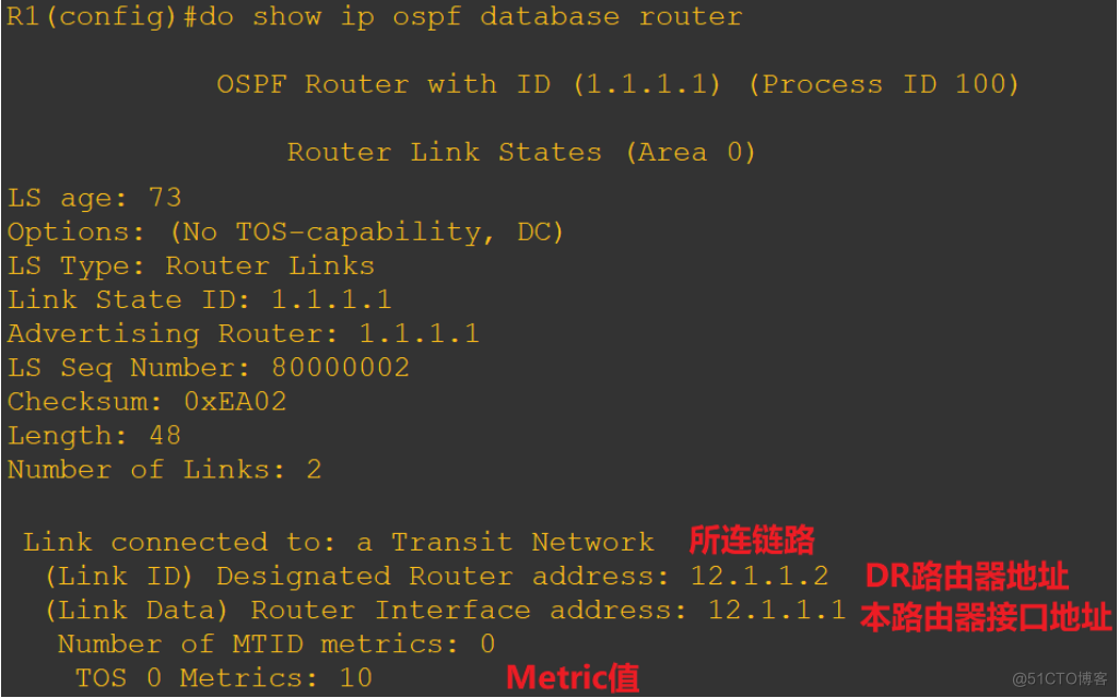 OSPF 6类LSA报文和路由器角色_链路_06