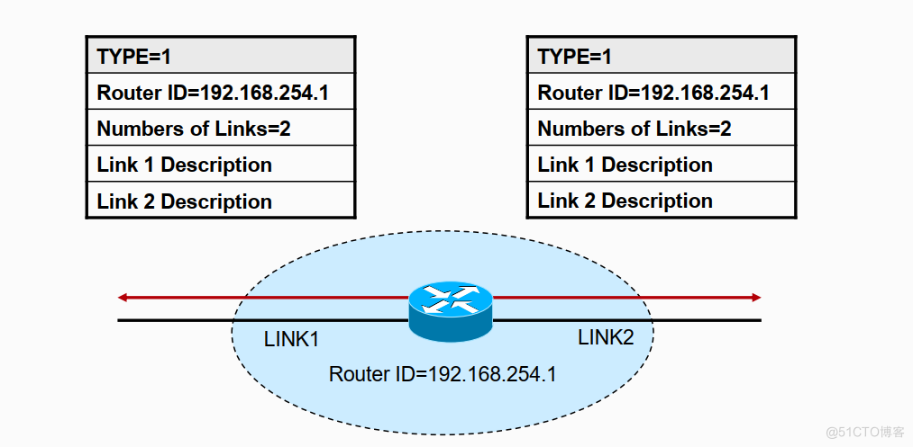 OSPF 6类LSA报文和路由器角色_LSA类型_04