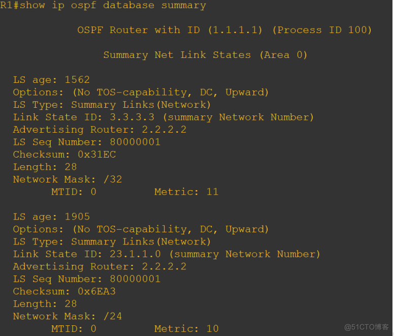 OSPF 6类LSA报文和路由器角色_自治系统_12