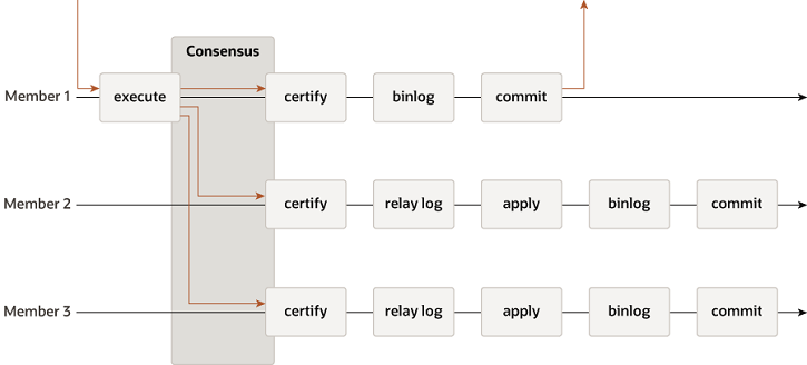 MySQL Group Replication（MGR）搭建_数据库