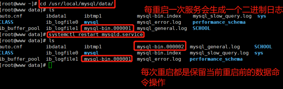 Mysql数据库的备份恢复 与日志管理_完全备份恢复_20