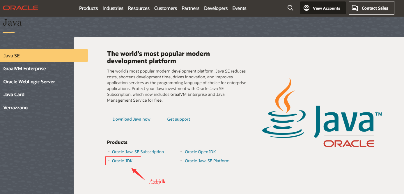 甲骨文网站下载java JDK_官网_03