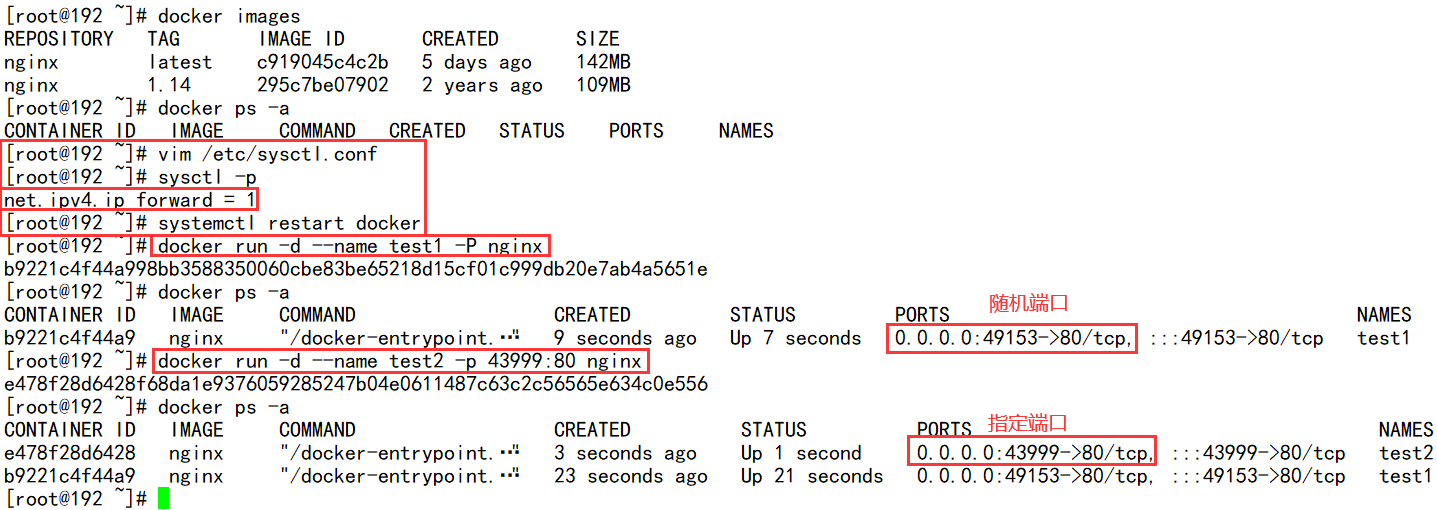 Docker网络与资源控制 51cto博客 Docker Host 网络模式