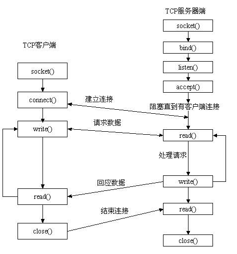 深入理解rtmp(二)之C++脚手架搭建_服务器_03