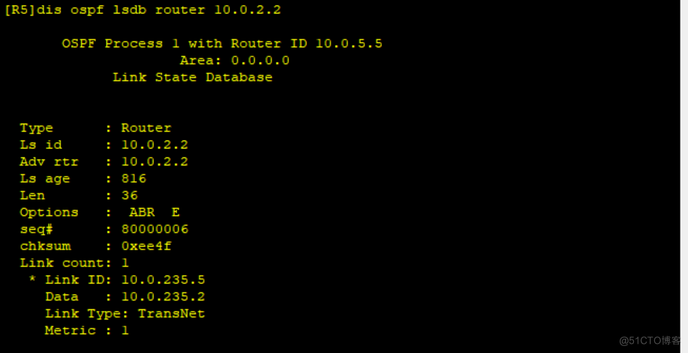 路由基础之OSPF链路状态数据库_序列号_12