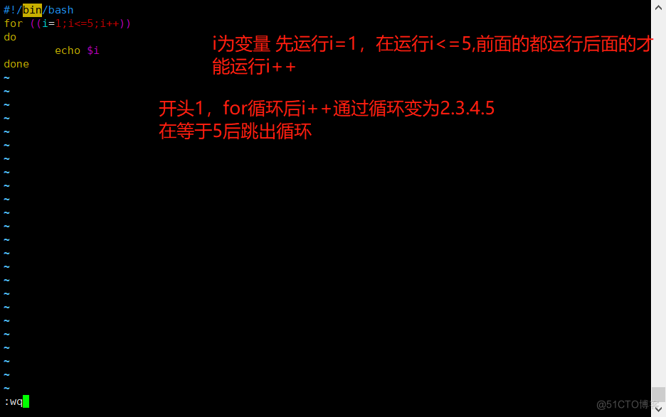 shell编程之循环语句（for、while、until）_for循环_07