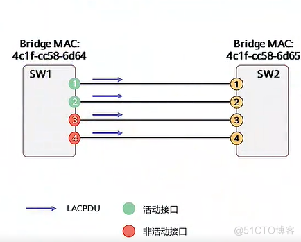 以太网链路聚合（完整版）_mac地址_10