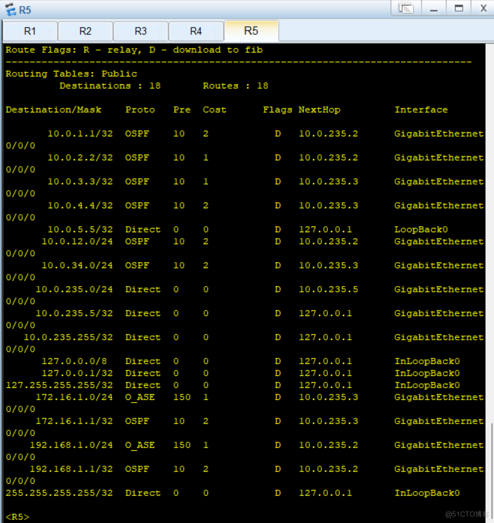 路由基础之OSPF链路状态数据库_序列号_10