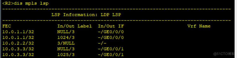 路由基础之MPLS和LDP的基本配置_数据链路层_15