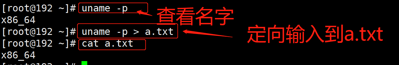 Shell自定义变量及赋值_标准输出_07