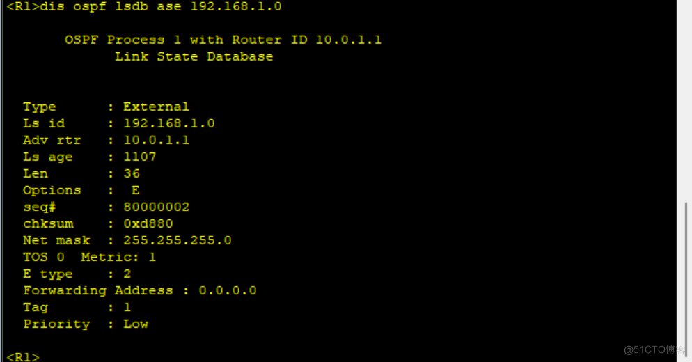 路由基础之OSPF链路状态数据库_链路_22
