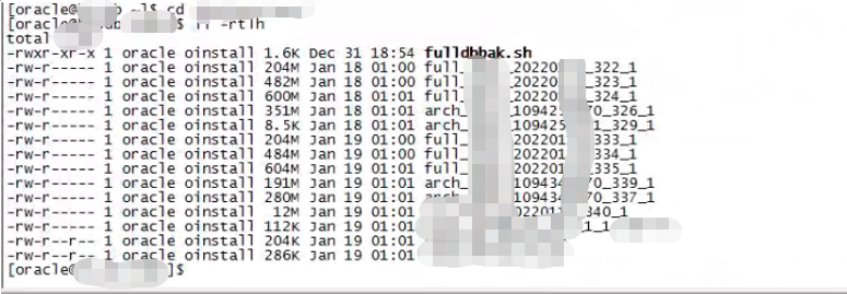 Linux环境下Oracle单机Rman异机恢复_项目_07