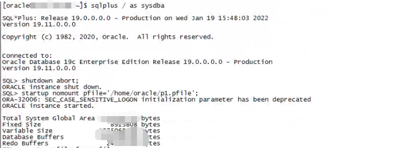 Linux环境下Oracle单机Rman异机恢复_项目_10