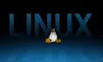 Linux系统磁盘高级应用和Vi编译器
