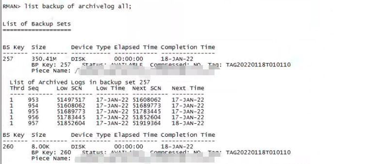 Linux环境下Oracle单机Rman异机恢复_数据库_06