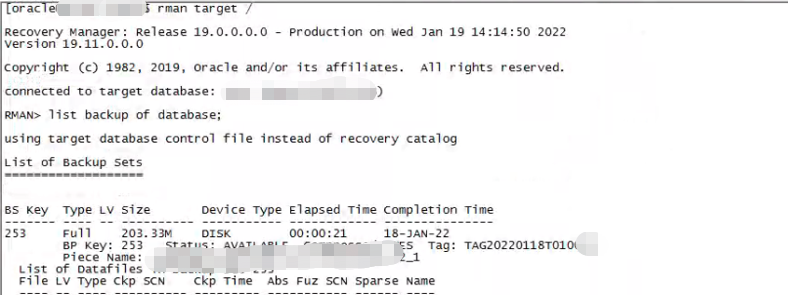 Linux环境下Oracle单机Rman异机恢复_数据库_03