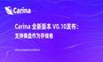 Carina 全新版本 V0.10发布 ：支持裸盘作为存储卷