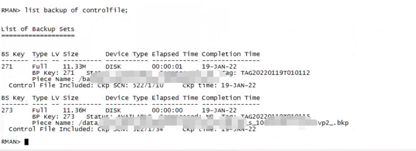 Linux环境下Oracle单机Rman异机恢复_数据库_05