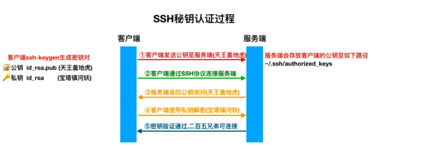 SSH远程管理_bash_03