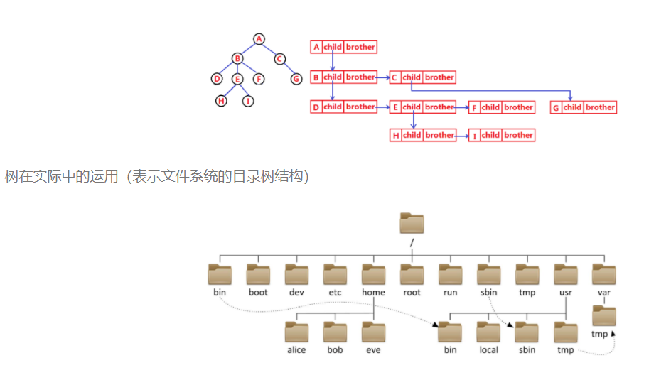 數據結構--樹和二叉樹_二叉樹_03