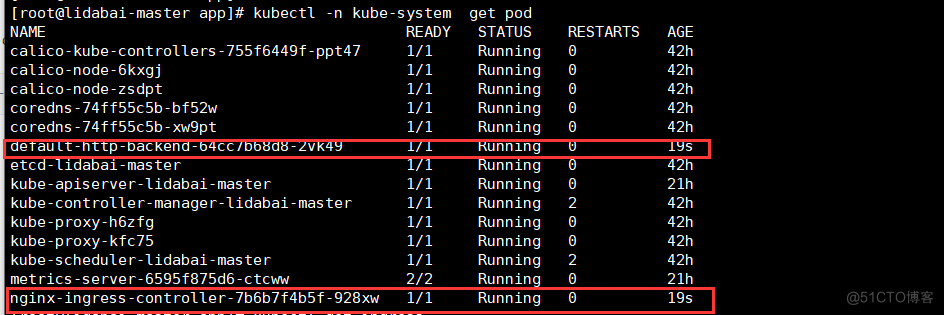 【K8S】Nginx-Ingress-Controller部署，用域名的方式访问服务_kubernetes_02
