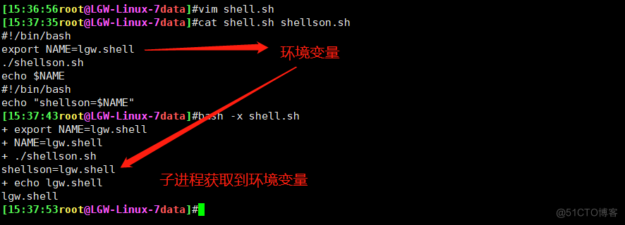 20、shell编程之变量_变量_06