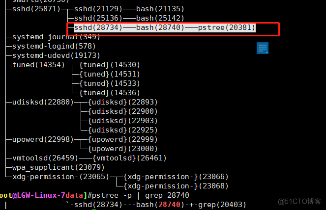 20、shell编程之变量_bash_02