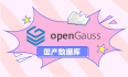 G024-DB-GS-INS-01 OpenEuler 部署 OpenGauss（单实例）