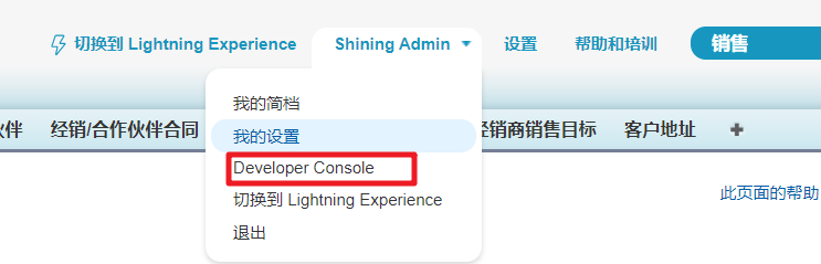 Salesforce开发指导文档_Salesforce开发_08