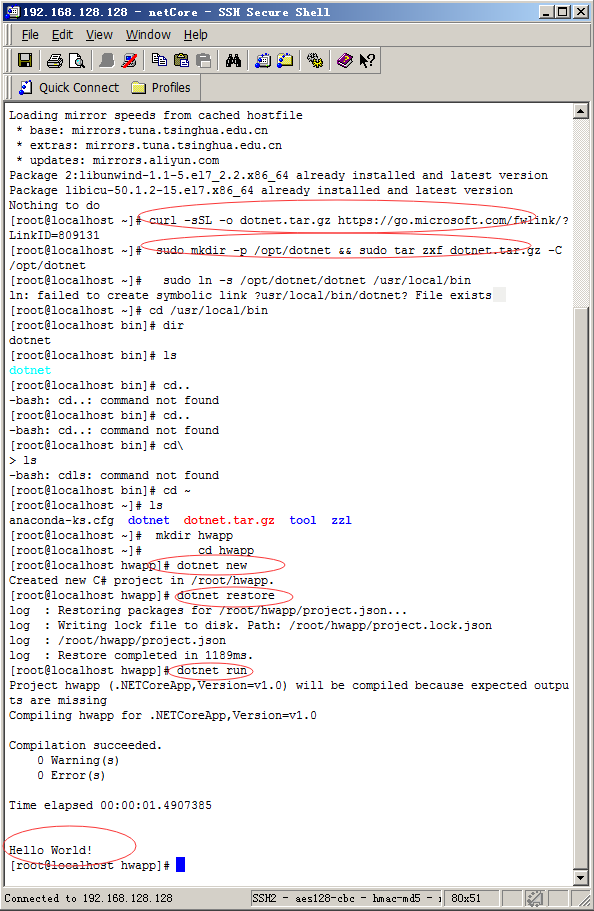 .NetCore~Linux环境下部署_.net_02