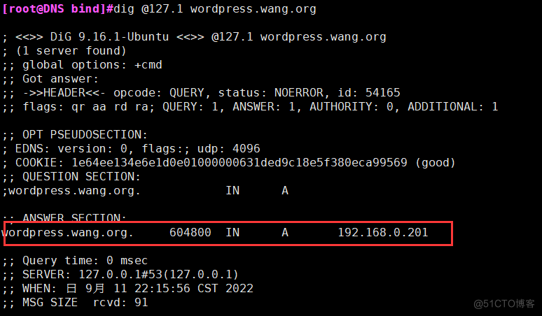 Mysql+Mycat+NFS+Rsync+LVS+DNS+IPtables综合实验_mysql_17