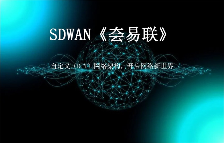 SD-WAN部署选项：DIY与云托管_网络安全