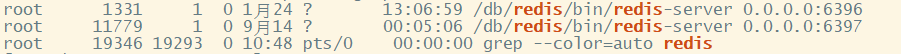 Redis启动多进程_linux