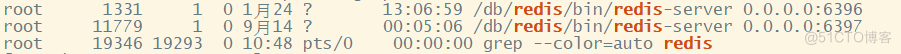Redis启动多进程_linux