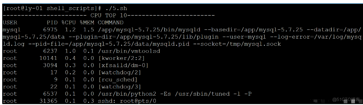 Linux Shell脚本专栏_找出占用CPU/内存过高的进程_05_bash